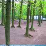 img-0770.jpg