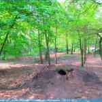 img-0779.jpg