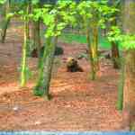 img-0781.jpg