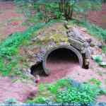 img-0782.jpg
