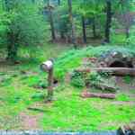 img-0783.jpg