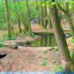img-0784.jpg