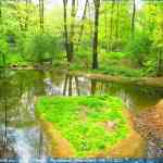 img-0785.jpg