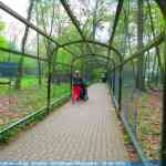 img-0788.jpg