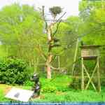 img-0791.jpg