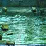 img-0794.jpg