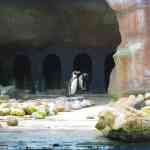 img-0796.jpg