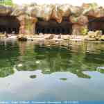 img-0797.jpg