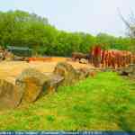 img-0800.jpg
