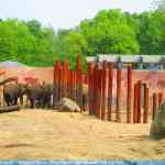 img-0802.jpg