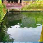 img-0806.jpg