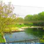 img-0811.jpg