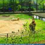img-0813.jpg