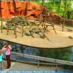 img-0816.jpg