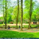 img-0817.jpg