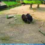 img-0821.jpg