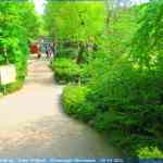 img-0823.jpg