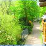 img-0824.jpg