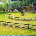 img-0831.jpg
