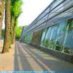 img-0841.jpg
