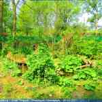 img-0842.jpg