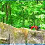 img-0855.jpg