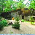 img-0858.jpg