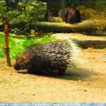 img-0860.jpg