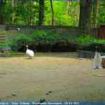 img-0862.jpg
