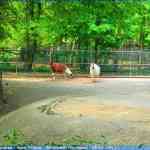img-0864.jpg