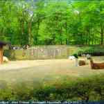 img-0865.jpg