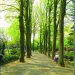 img-0866.jpg