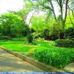 img-0867.jpg