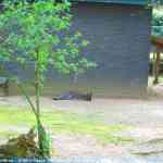 img-0869.jpg