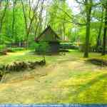 img-0870.jpg