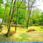 img-0871.jpg