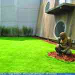 img-0872.jpg