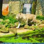 img-0878.jpg