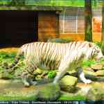 img-0879.jpg