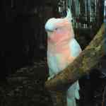 img-0884.jpg
