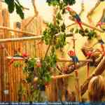 img-0885.jpg