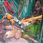 img-0886.jpg