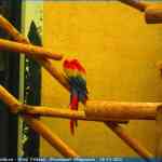 img-0889.jpg