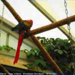 img-0890.jpg