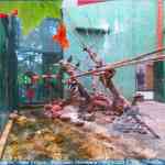 img-0891.jpg