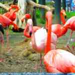 img-0899.jpg