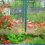 img-0900.jpg