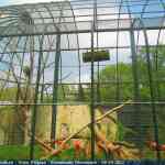 img-0902.jpg