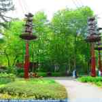 img-0905.jpg