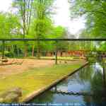 img-0912.jpg